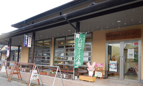 ルート沿線の撮影ポイント画像