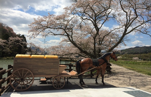 現存する銀の馬車道